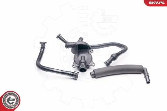 Reparatursatz, Kurbelgehäuseentlüftung Zylinderkopf ESEN SKV 31SKV042 Bild Reparatursatz, Kurbelgehäuseentlüftung Zylinderkopf ESEN SKV 31SKV042