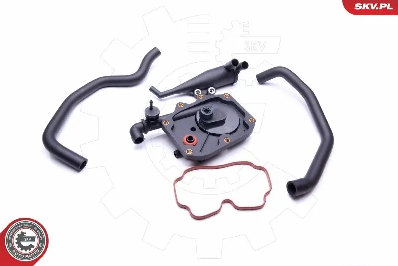 Reparatursatz, Kurbelgehäuseentlüftung ESEN SKV 31SKV100