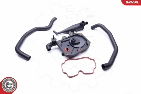 Reparatursatz, Kurbelgehäuseentlüftung ESEN SKV 31SKV100 Bild Reparatursatz, Kurbelgehäuseentlüftung ESEN SKV 31SKV100