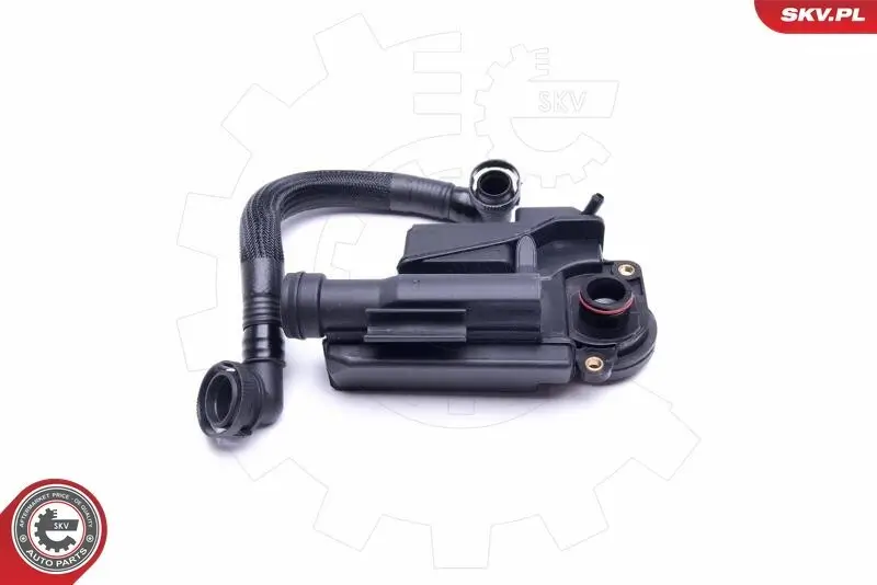 Ventil, Kurbelgehäuseentlüftung ESEN SKV 31SKV163