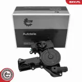 Ölabscheider, Kurbelgehäuseentlüftung ESEN SKV 31SKV495