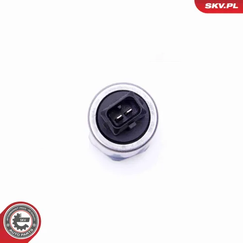 Steuerventil, Nockenwellenverstellung ESEN SKV 39SKV047 Bild Steuerventil, Nockenwellenverstellung ESEN SKV 39SKV047