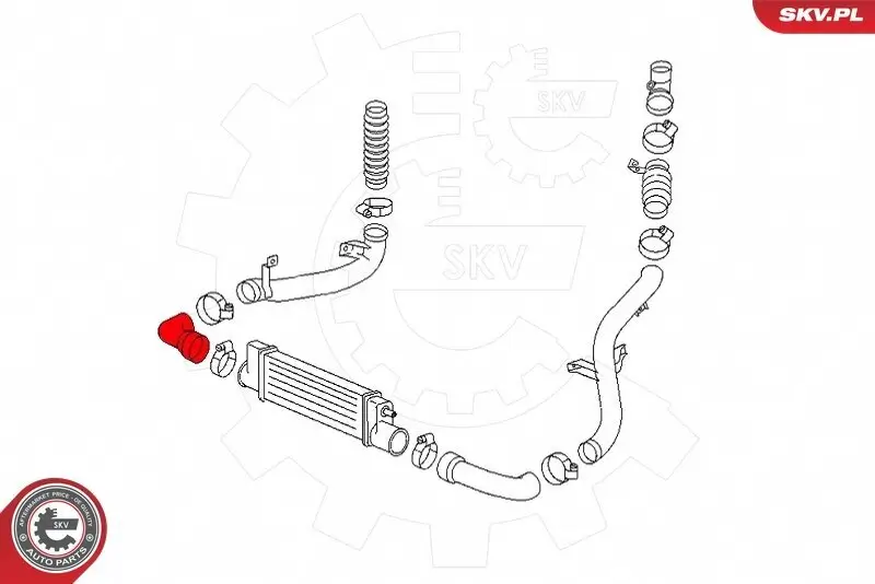 Achsschenkel, Radaufhängung Vorderachse rechts ESEN SKV 47SKV902