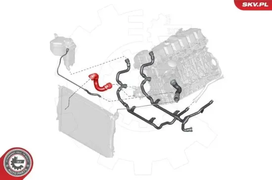 Kühlerschlauch rechts unten ESEN SKV 43SKV737 Bild Kühlerschlauch rechts unten ESEN SKV 43SKV737