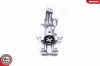 Bremssattel Hinterachse rechts ESEN SKV 46SKV584 Bild Bremssattel Hinterachse rechts ESEN SKV 46SKV584