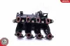 Saugrohrmodul ESEN SKV 49SKV017 Bild Saugrohrmodul ESEN SKV 49SKV017
