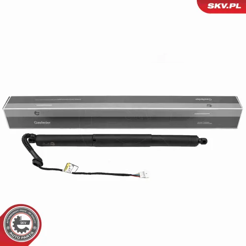 Elektromotor, Heckklappe hinten rechts ESEN SKV 52SKV179 Bild Elektromotor, Heckklappe hinten rechts ESEN SKV 52SKV179