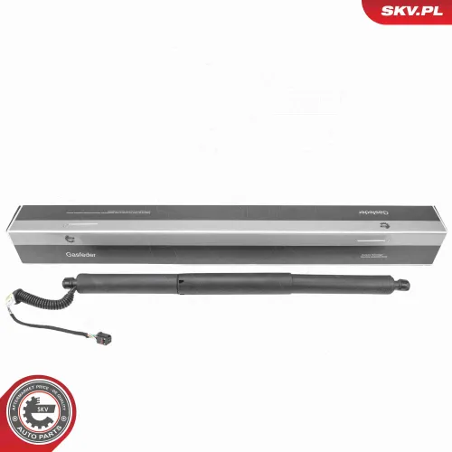 Elektromotor, Heckklappe hinten links ESEN SKV 52SKV195 Bild Elektromotor, Heckklappe hinten links ESEN SKV 52SKV195