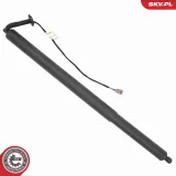 Bremssattel Hinterachse links ESEN SKV 56SKV323