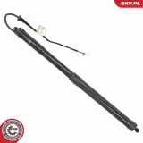 Bremssattel Hinterachse links ESEN SKV 56SKV363