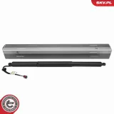 Elektromotor, Heckklappe beidseitig ESEN SKV 52SKV219