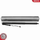 Elektromotor, Heckklappe hinten links ESEN SKV 52SKV257