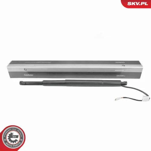 Elektromotor, Heckklappe beidseitig ESEN SKV 52SKV299 Bild Elektromotor, Heckklappe beidseitig ESEN SKV 52SKV299
