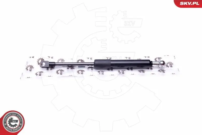 Halter, Bremssattel Hinterachse beidseitig ESEN SKV 56SKV753