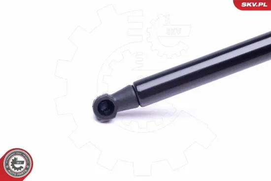 Spritzblech, Bremsscheibe Vorderachse links ESEN SKV 57SKV115 Bild Spritzblech, Bremsscheibe Vorderachse links ESEN SKV 57SKV115