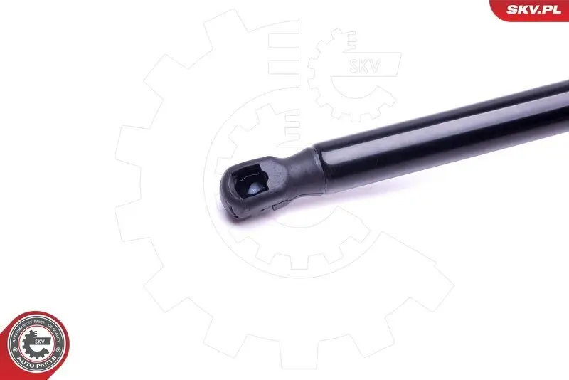 Spritzblech, Bremsscheibe Vorderachse links Vorderachse rechts ESEN SKV 57SKV179