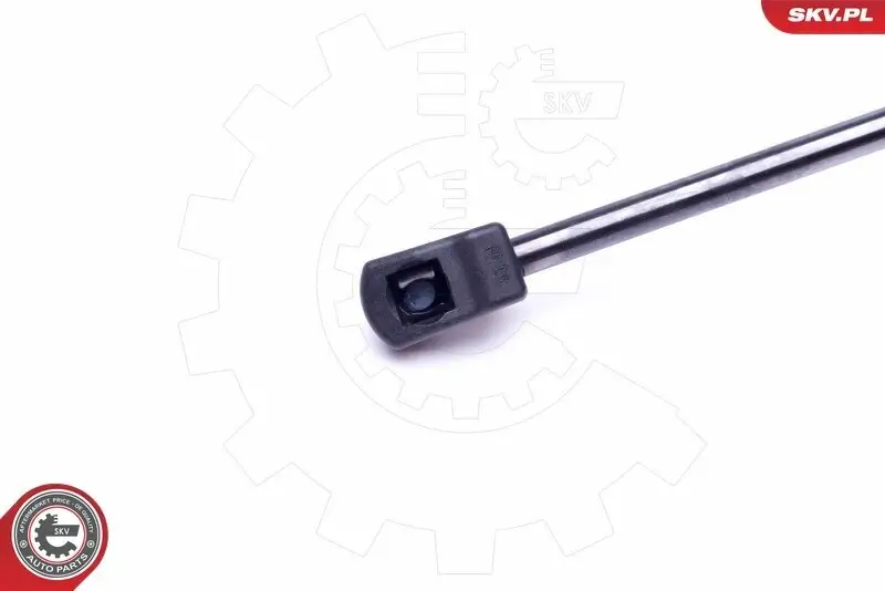 Spritzblech, Bremsscheibe Vorderachse rechts ESEN SKV 57SKV207