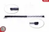 Gasfeder, Koffer-/Laderaum beidseitig ESEN SKV 52SKV581 Bild Gasfeder, Koffer-/Laderaum beidseitig ESEN SKV 52SKV581