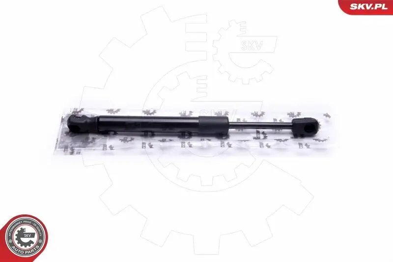 Spritzblech, Bremsscheibe links ESEN SKV 57SKV252