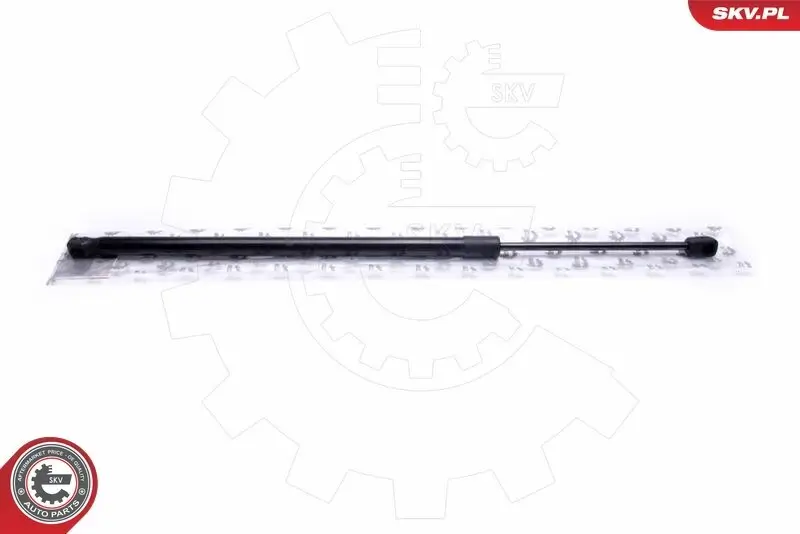 Spritzblech, Bremsscheibe rechts ESEN SKV 57SKV253