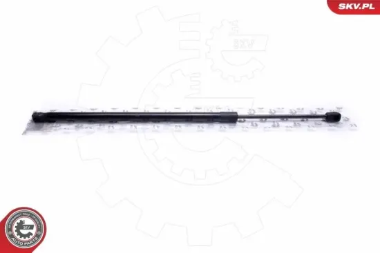 Spritzblech, Bremsscheibe rechts ESEN SKV 57SKV253 Bild Spritzblech, Bremsscheibe rechts ESEN SKV 57SKV253