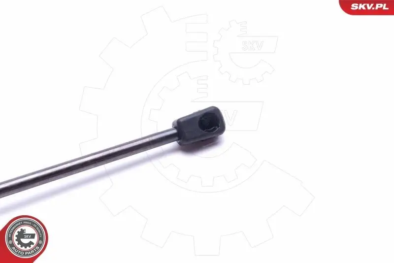 Spritzblech, Bremsscheibe links rechts rechts links ESEN SKV 57SKV524