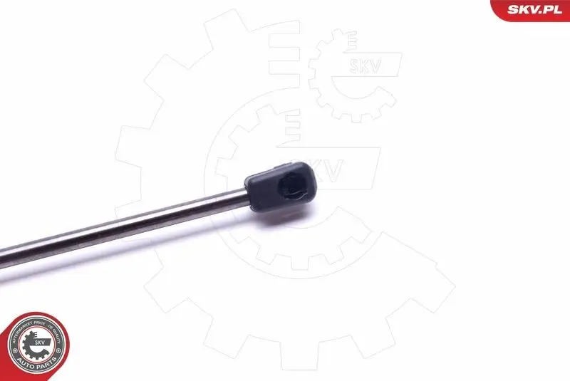 Spritzblech, Bremsscheibe Hinterachse links ESEN SKV 57SKV621