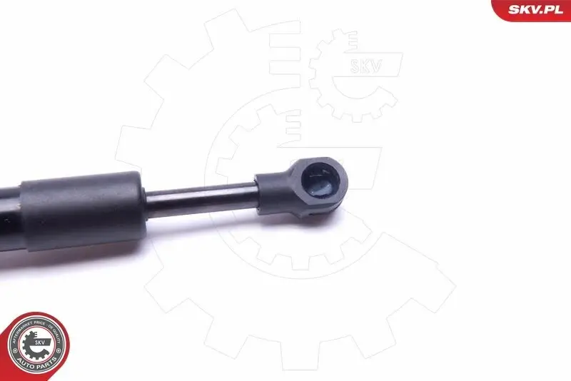 Spritzblech, Bremsscheibe Hinterachse rechts ESEN SKV 57SKV648