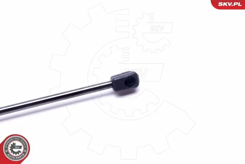 Spritzblech, Bremsscheibe Hinterachse links ESEN SKV 57SKV658