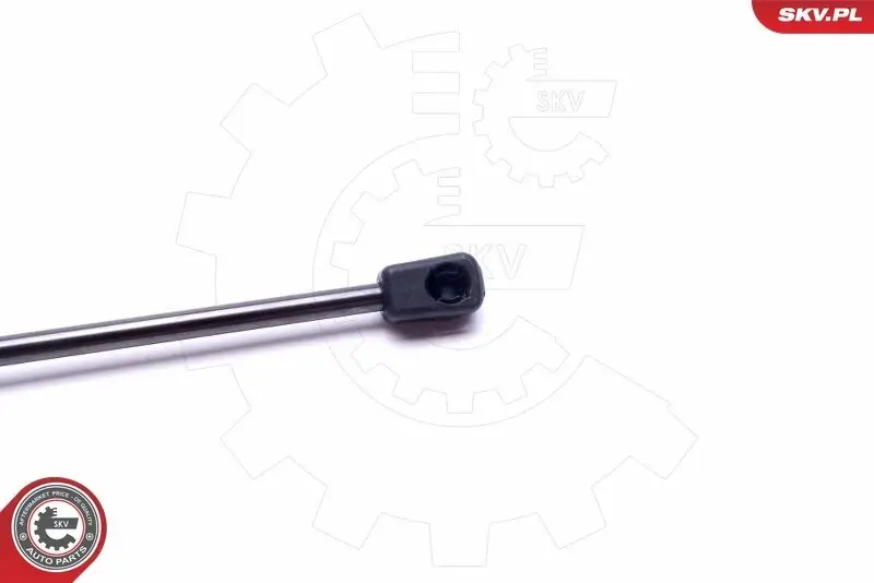 Spritzblech, Bremsscheibe Hinterachse links ESEN SKV 57SKV708