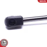 Spritzblech, Bremsscheibe links ESEN SKV 57SKV734