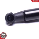 Spritzblech, Bremsscheibe links ESEN SKV 57SKV762