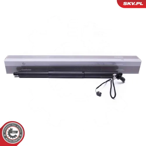 Elektromotor, Heckklappe beidseitig ESEN SKV 52SKV953 Bild Elektromotor, Heckklappe beidseitig ESEN SKV 52SKV953