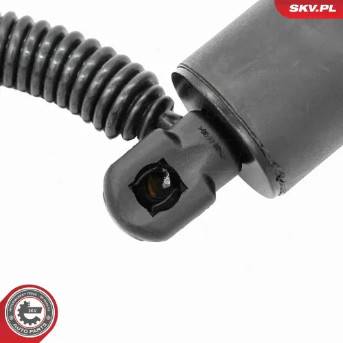 Elektromotor, Heckklappe beidseitig ESEN SKV 52SKV994 Bild Elektromotor, Heckklappe beidseitig ESEN SKV 52SKV994