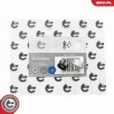 Dichtringsatz, Einspritzventil ESEN SKV 53SKV196