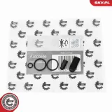 Reparatursatz, Pumpe-Düse-Einheit ESEN SKV 53SKV198