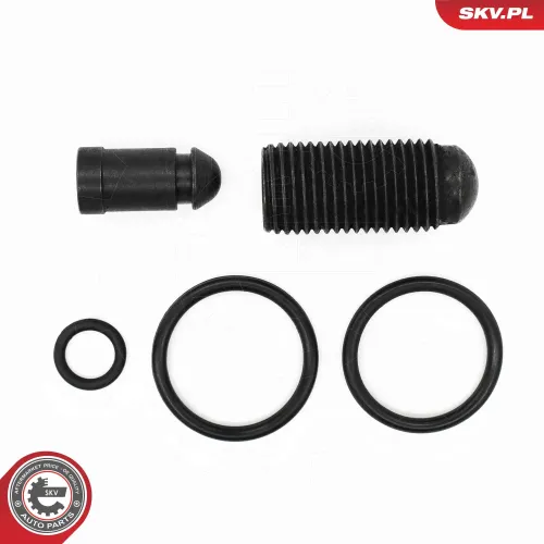 Reparatursatz, Pumpe-Düse-Einheit ESEN SKV 53SKV198 Bild Reparatursatz, Pumpe-Düse-Einheit ESEN SKV 53SKV198