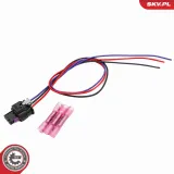 Steuergerät, Beleuchtung ESEN SKV 59SKV204