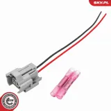 Steuergerät, Beleuchtung ESEN SKV 59SKV227