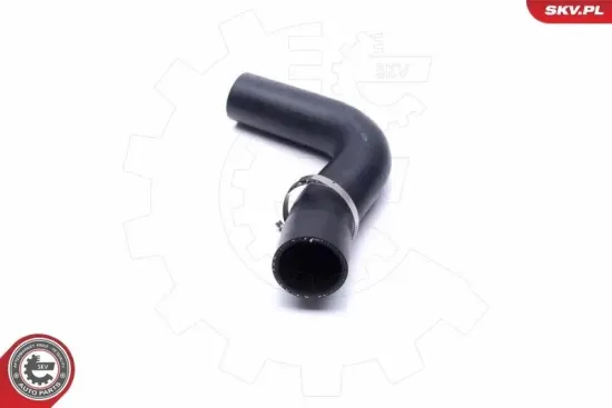 Steuergerät, Beleuchtung rechts ESEN SKV 59SKV253 Bild Steuergerät, Beleuchtung rechts ESEN SKV 59SKV253