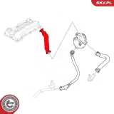 Steuergerät, Beleuchtung rechts ESEN SKV 59SKV274