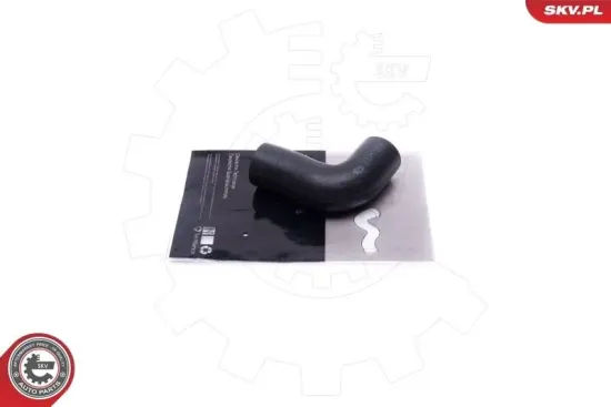 Türschloss vorne links ESEN SKV 60SKV001 Bild Türschloss vorne links ESEN SKV 60SKV001