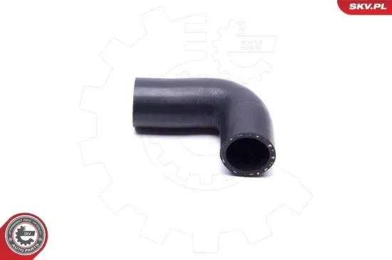 Türschloss vorne links ESEN SKV 60SKV001 Bild Türschloss vorne links ESEN SKV 60SKV001