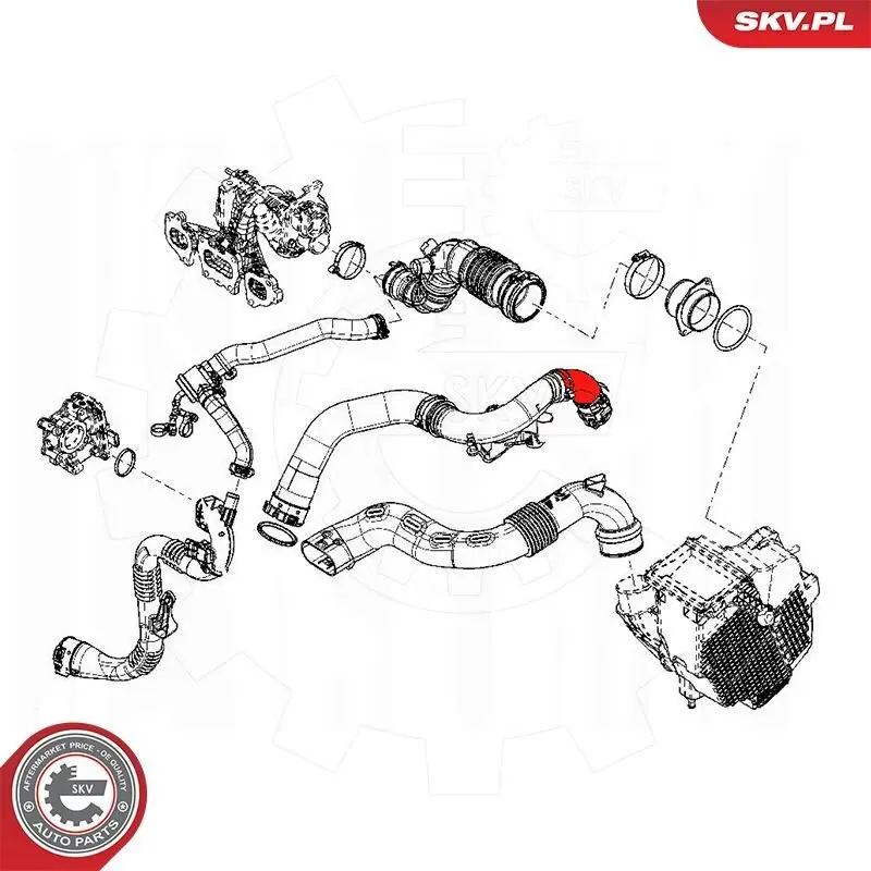 Türschloss vorne rechts ESEN SKV 60SKV102