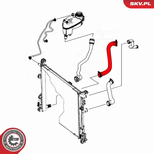 Kühlerschlauch unten ESEN SKV 54SKV175 Bild Kühlerschlauch unten ESEN SKV 54SKV175