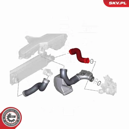 Ladeluftschlauch rechts Ladeluftkühler ESEN SKV 54SKV194 Bild Ladeluftschlauch rechts Ladeluftkühler ESEN SKV 54SKV194