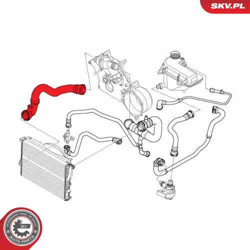 Kühlerschlauch ESEN SKV 54SKV772 Bild Kühlerschlauch ESEN SKV 54SKV772