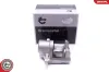 Bremssattel Hinterachse rechts ESEN SKV 56SKV254