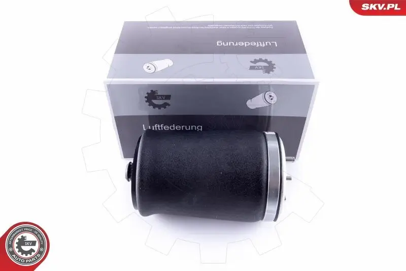 Luftfeder, Fahrwerk Hinterachse links ESEN SKV 58SKV003