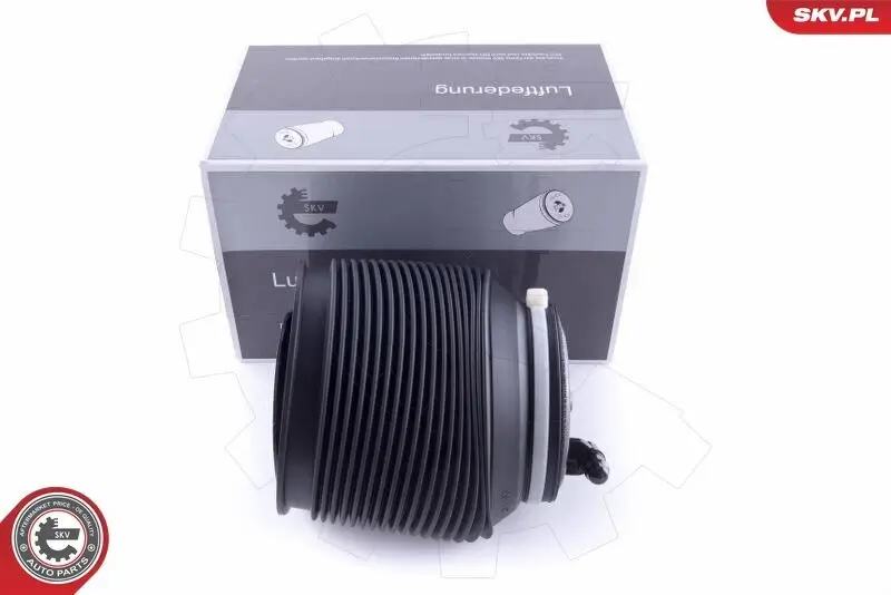 Luftfeder, Fahrwerk Hinterachse links ESEN SKV 58SKV009